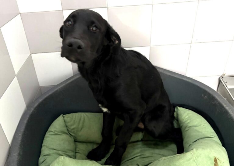 multimedia-foto94864-158-1