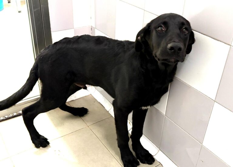 multimedia-foto94865-159-1