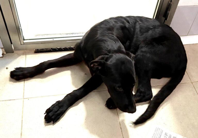 multimedia-foto94866-159-1