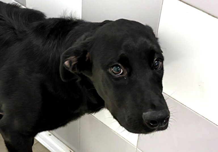 multimedia-foto94868-160-1