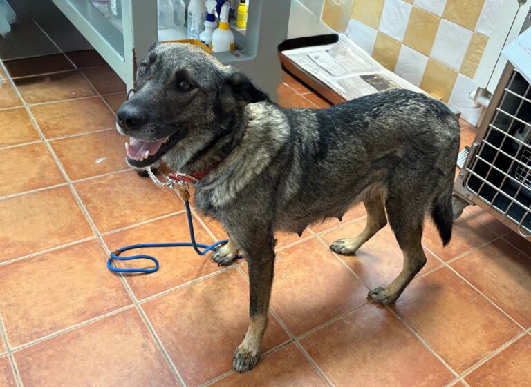 multimedia-foto94887-157-1