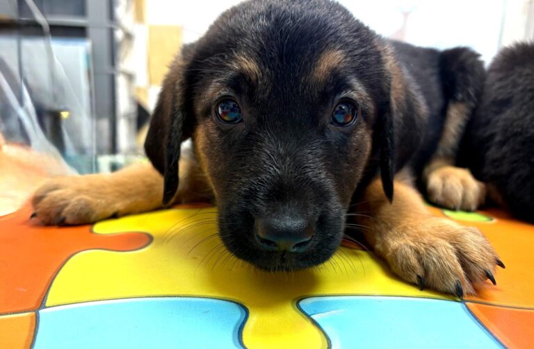 multimedia-foto94892-159-1