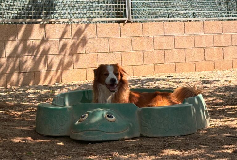 multimedia-foto94902-27-1