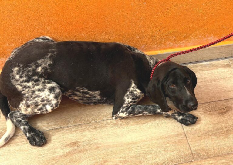 multimedia-foto94966-119-1