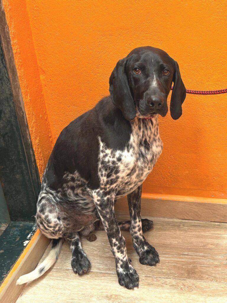 multimedia-foto94967-119-1