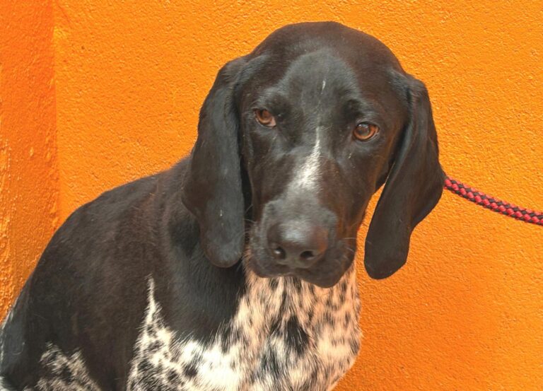 multimedia-foto94968-120-1