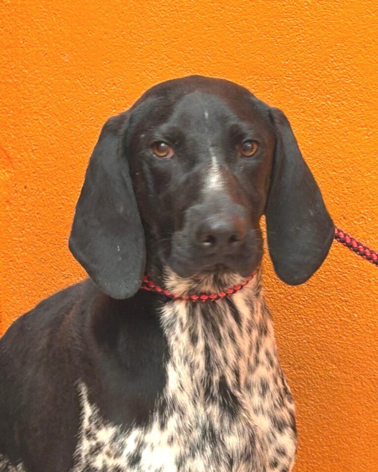 multimedia-foto94969-120-1