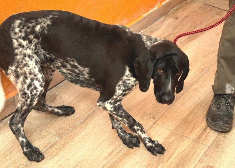 multimedia-foto94970-121-1