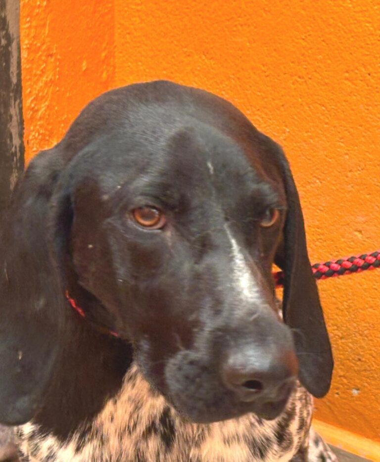 multimedia-foto94971-121-1