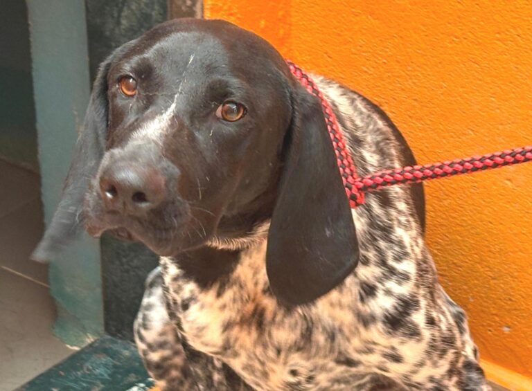 multimedia-foto94972-121-1