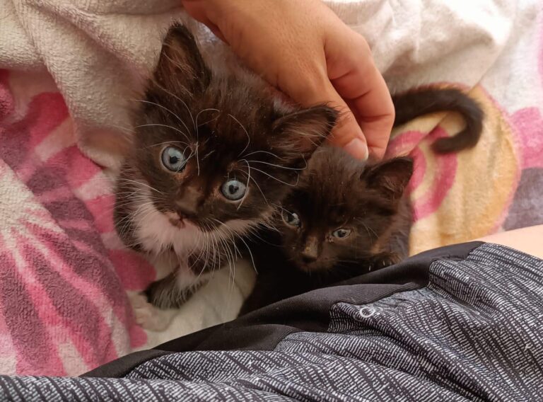 multimedia-foto94977-167-1