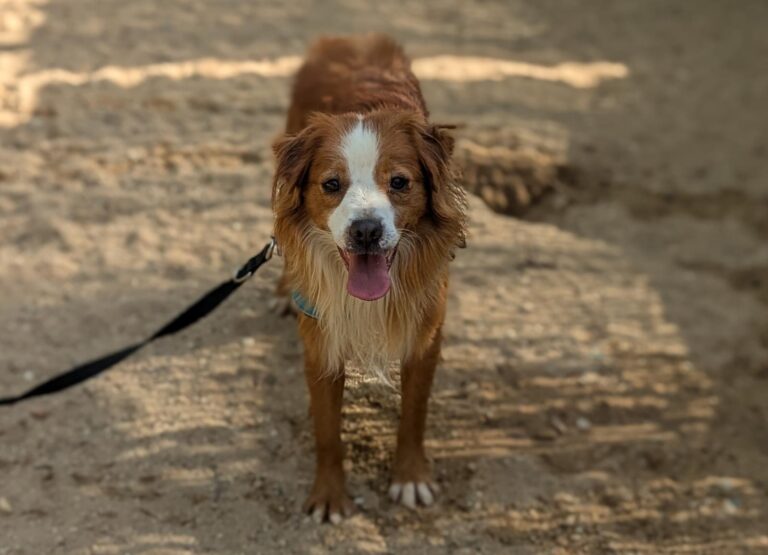 multimedia-foto94982-459-1