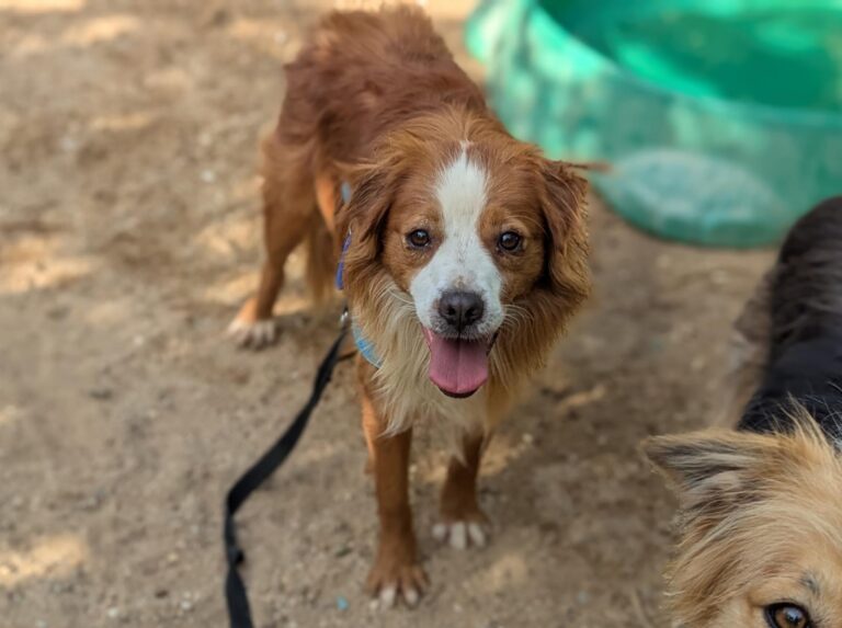 multimedia-foto94984-460-1