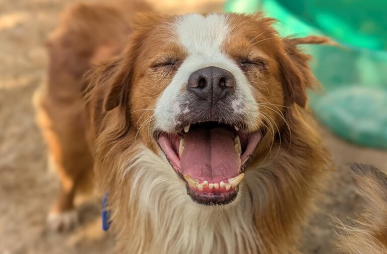 multimedia-foto94985-461-1