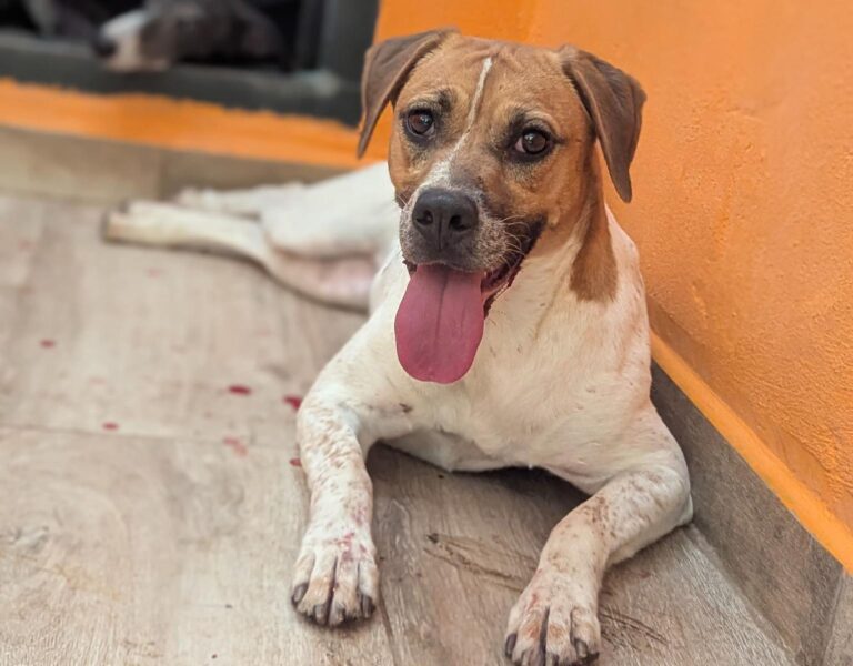 multimedia-foto94986-504-1