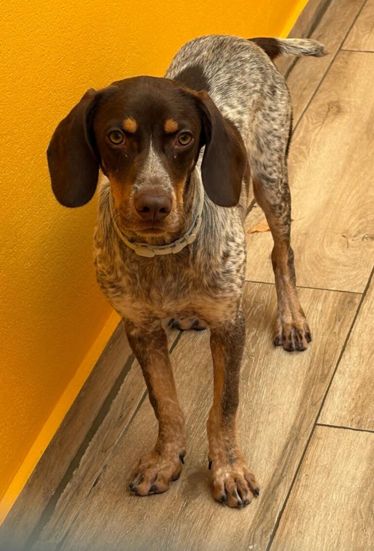 multimedia-foto95005-919-1