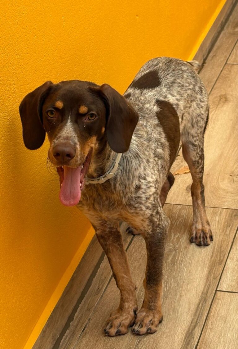 multimedia-foto95006-920-1