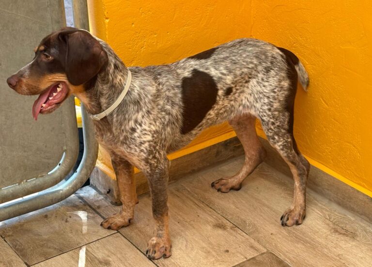 multimedia-foto95007-920-1