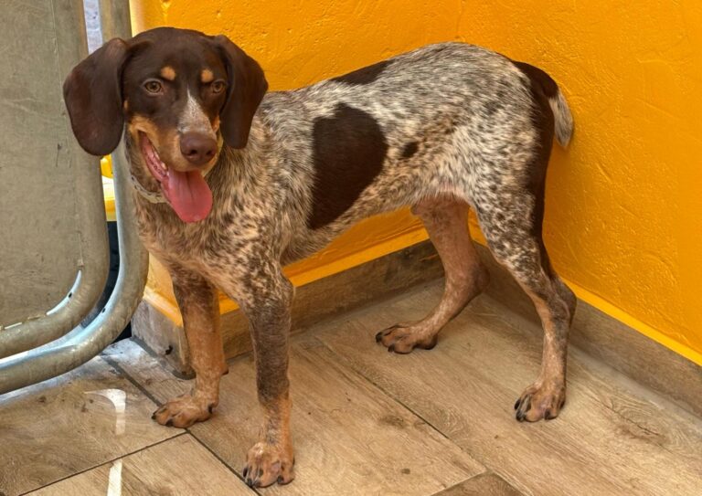 multimedia-foto95009-921-1