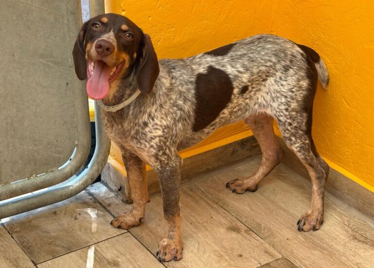 multimedia-foto95010-921-1