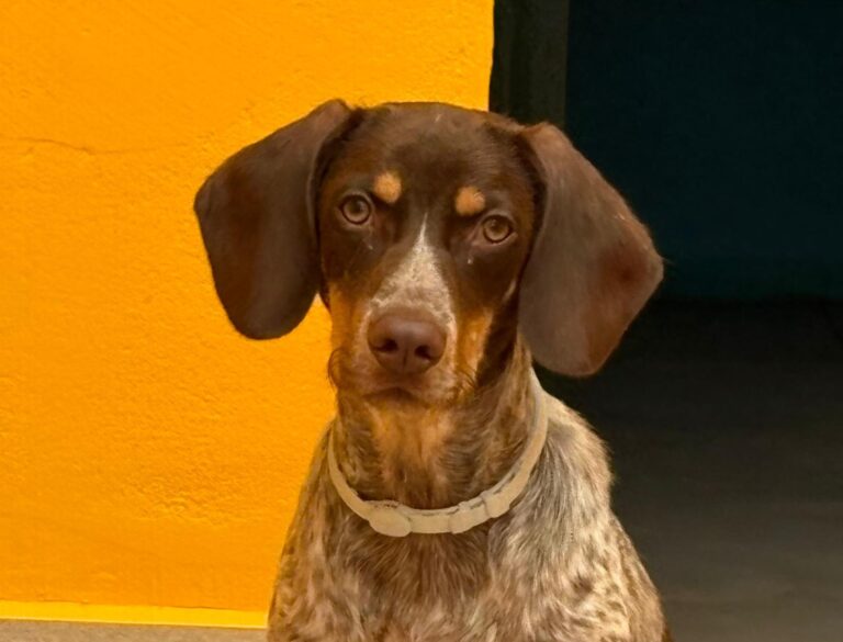 multimedia-foto95011-921-1