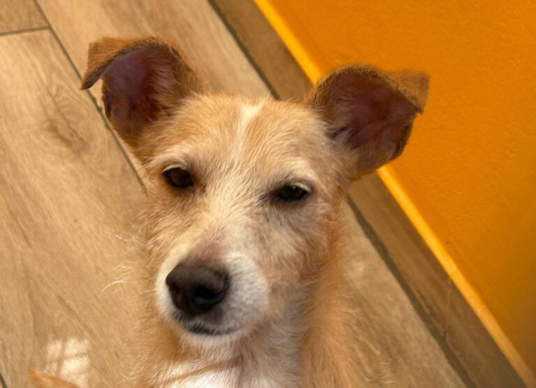 multimedia-foto95012-334-1