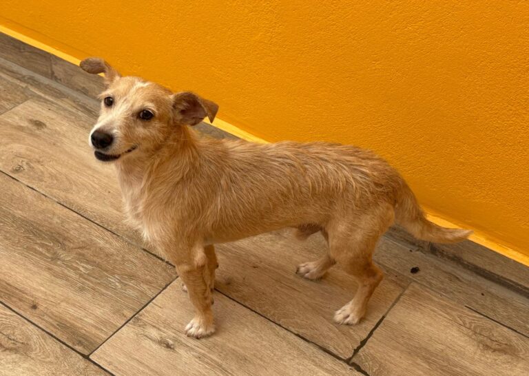 multimedia-foto95013-334-1