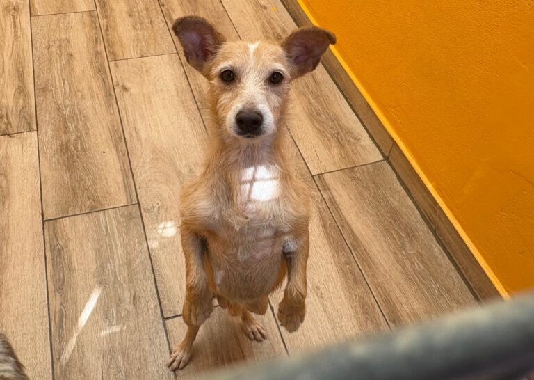 multimedia-foto95014-334-1