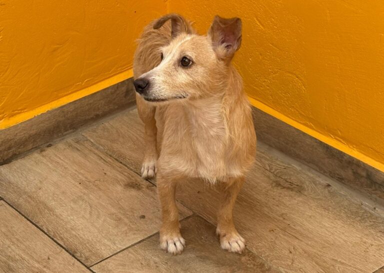 multimedia-foto95016-335-1