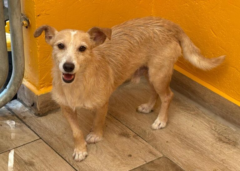 multimedia-foto95017-335-1