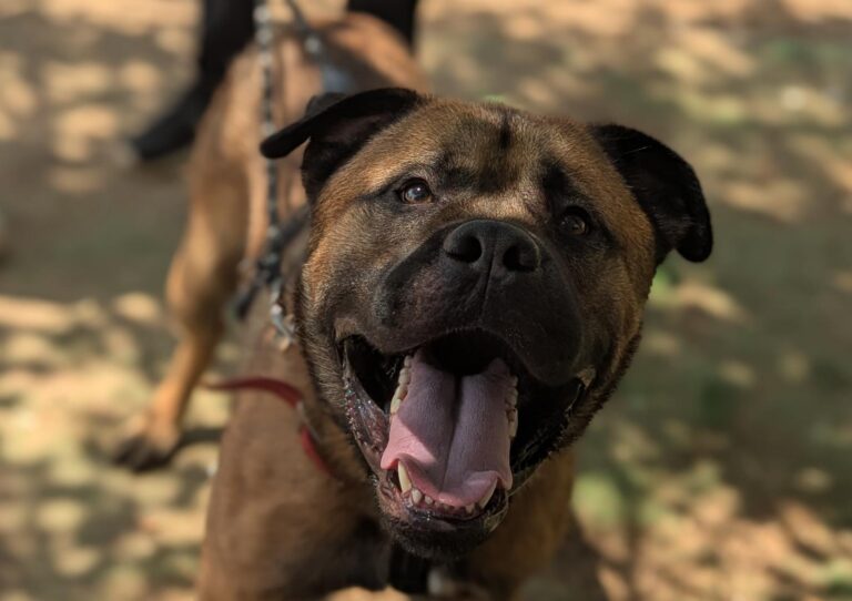 multimedia-foto95045-631-1