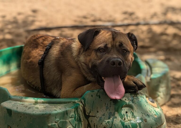 multimedia-foto95046-631-1