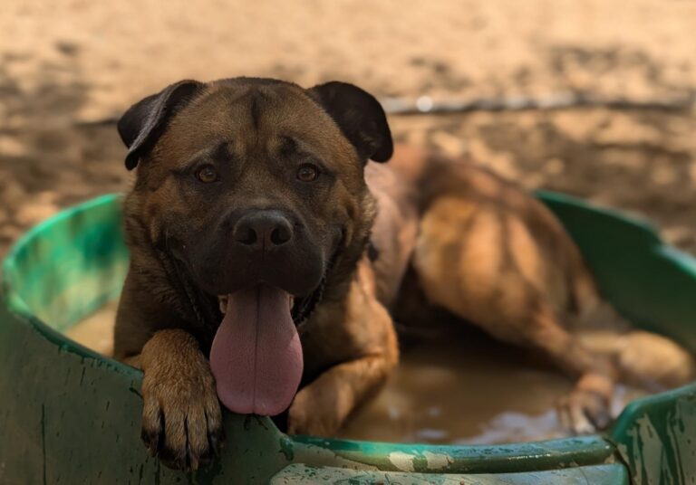 multimedia-foto95047-632-1