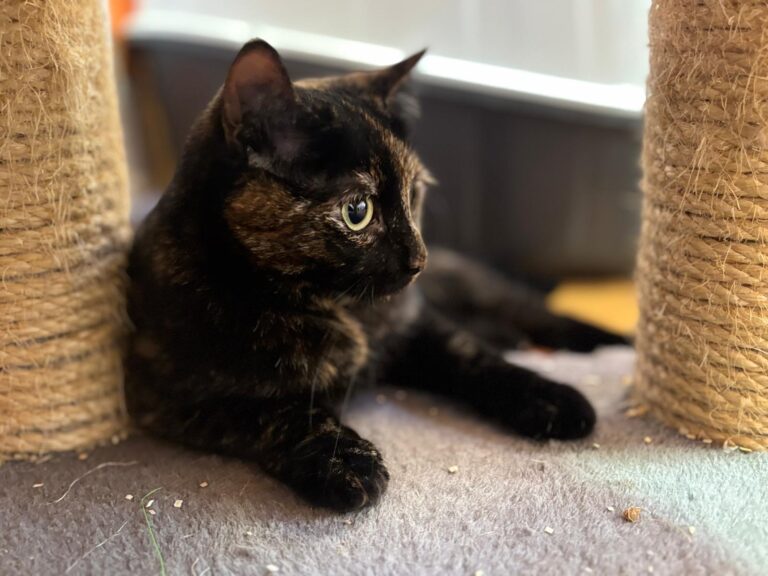 multimedia-foto95048-733-1