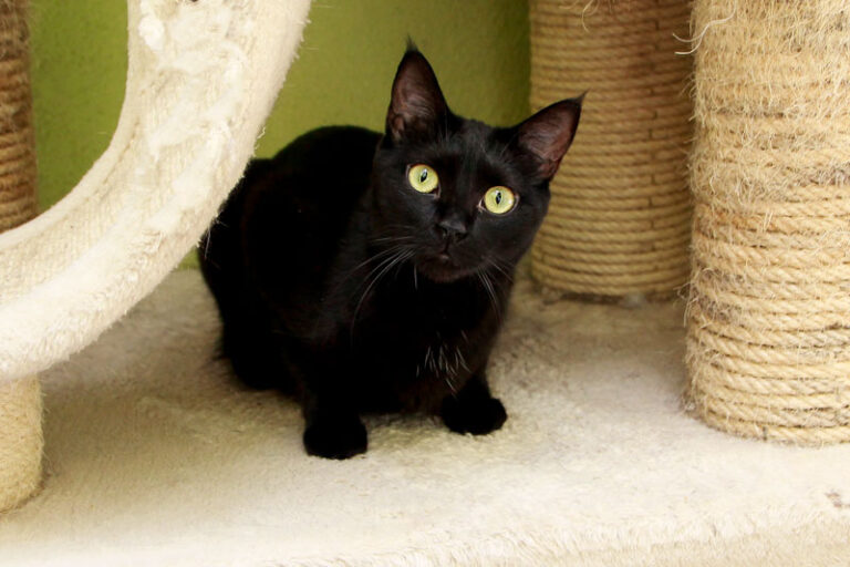 multimedia-foto95050-809-1