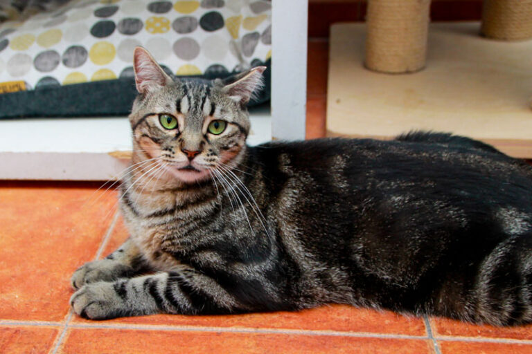 multimedia-foto95059-182-1