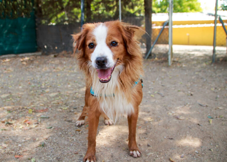 multimedia-foto95074-712-1