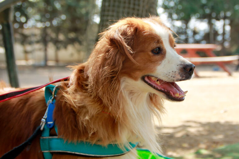 multimedia-foto95075-712-1