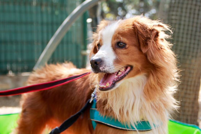 multimedia-foto95076-713-1