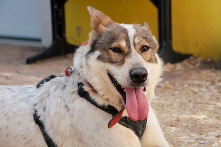 multimedia-foto95078-871-1