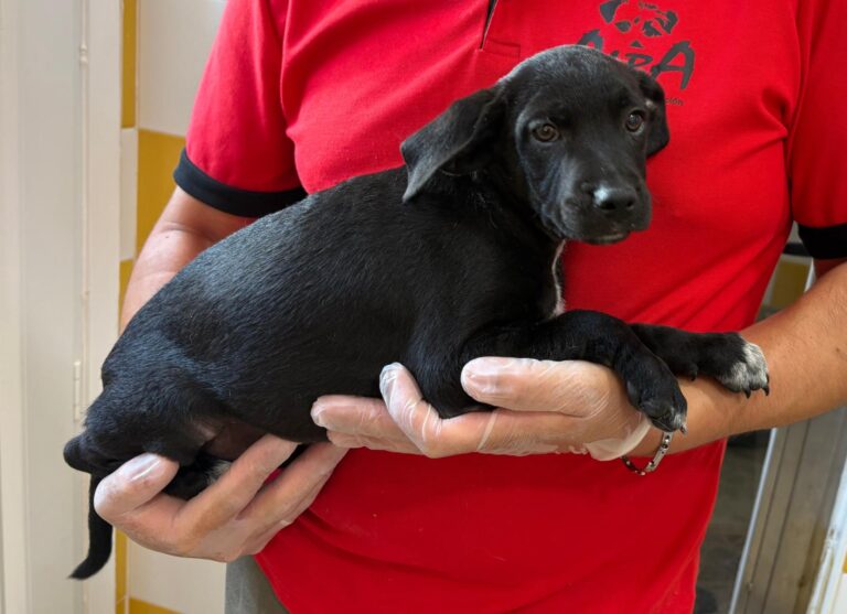 multimedia-foto95089-142-1