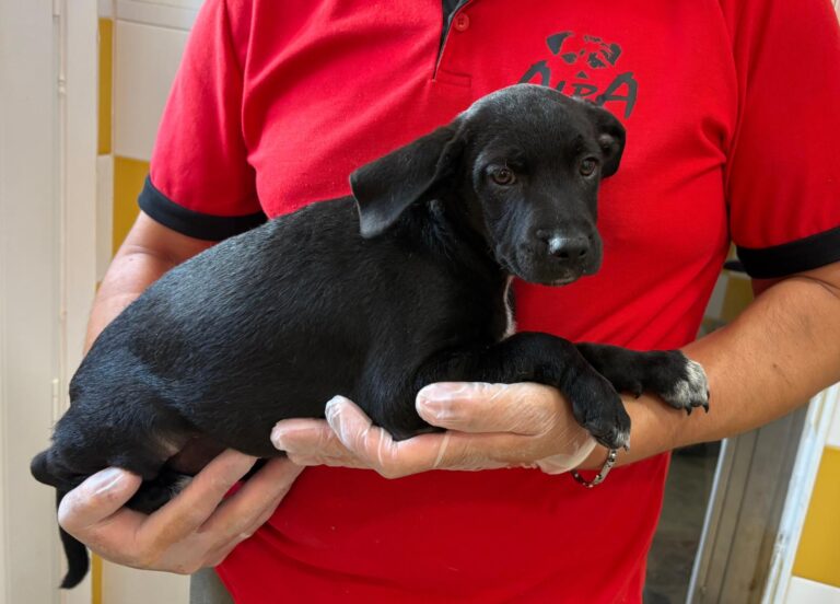 multimedia-foto95090-142-1