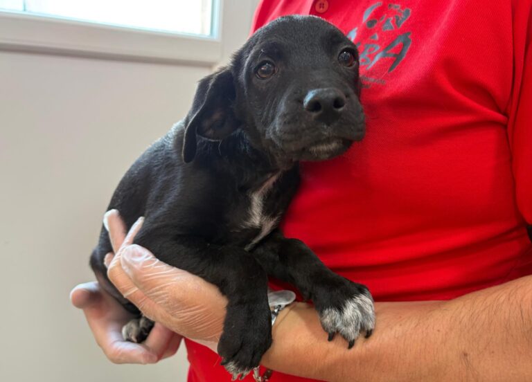 multimedia-foto95092-143-1