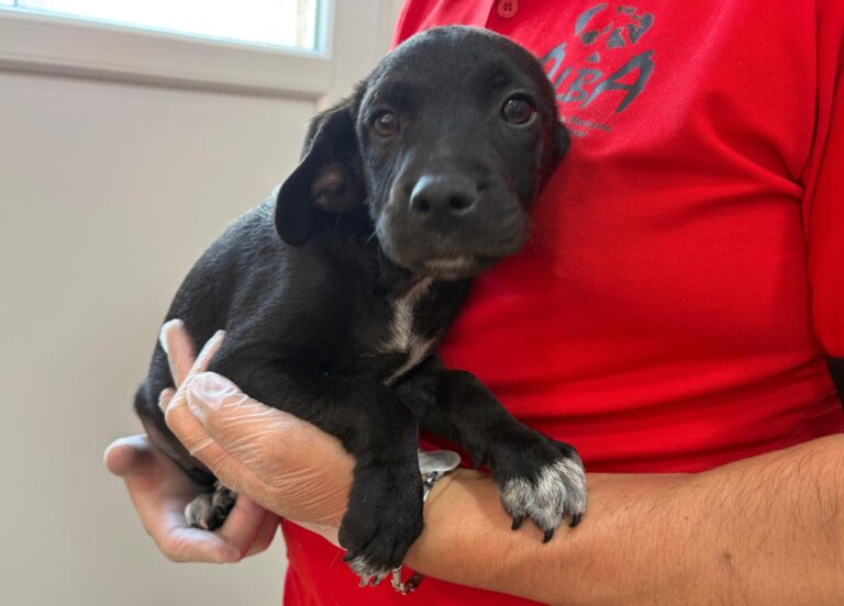 multimedia-foto95093-143-1