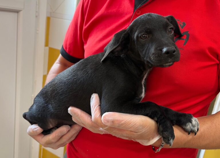 multimedia-foto95094-143-1