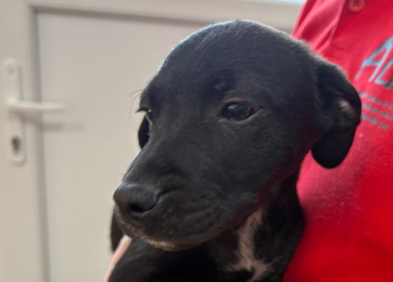 multimedia-foto95095-144-1