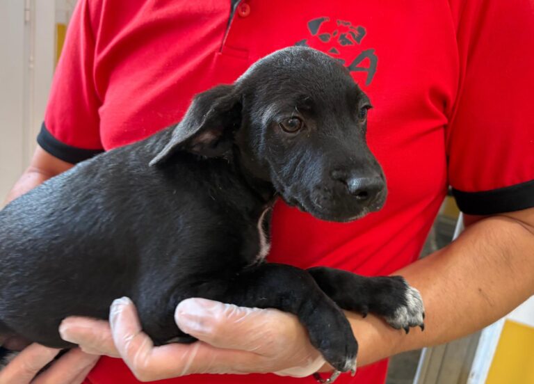 multimedia-foto95096-144-1