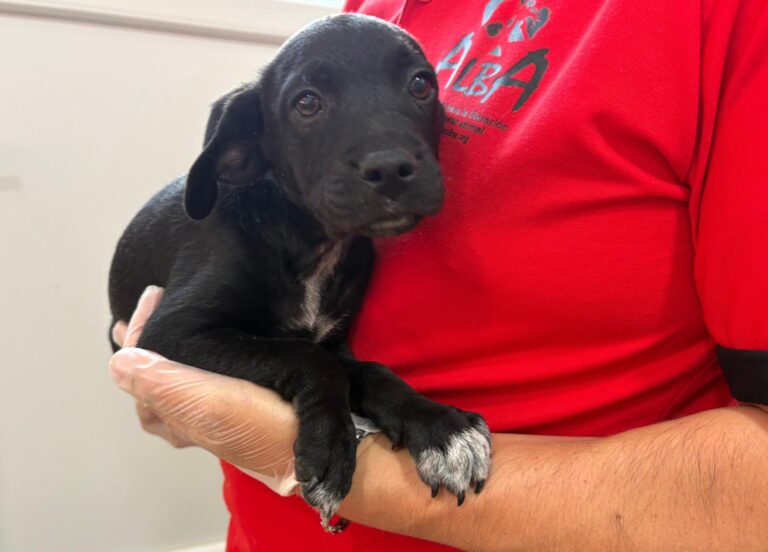 multimedia-foto95097-144-1