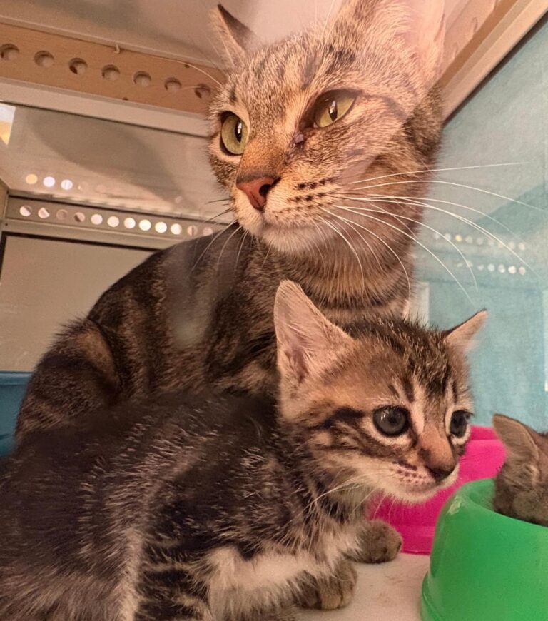 multimedia-foto95170-92-1