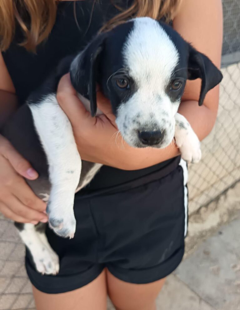 multimedia-foto95171-775-1